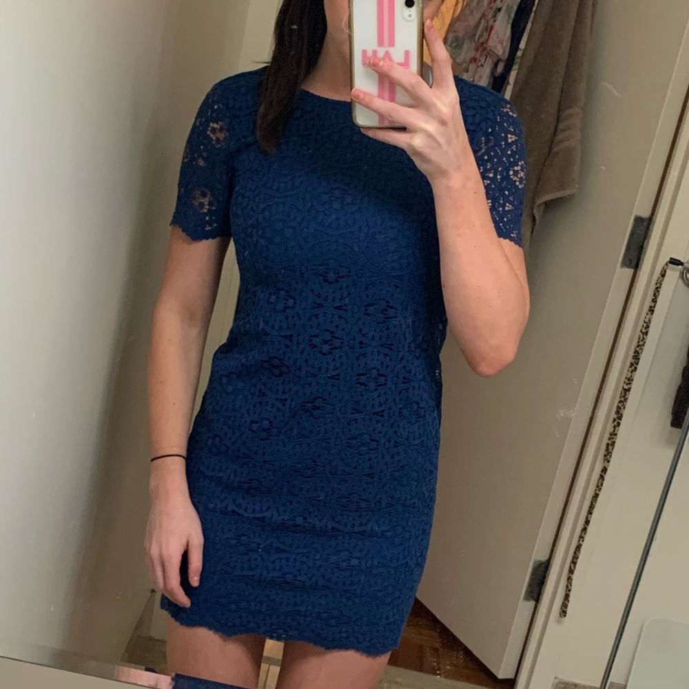 Ann Taylor Lace Blue Sheath Dress Size 0